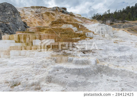 Mammoth Hot springs Mammoth Hot springs 28412425