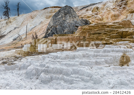 Mammoth Hot springs Mammoth Hot springs 28412426