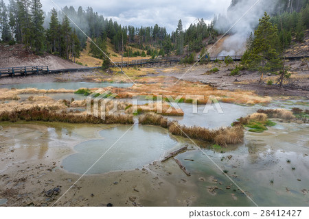 Hot spring in Yellowstone Hot spring in Yellowstone 28412427
