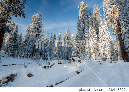 Winter landscape on the mountain in the morning 28412812