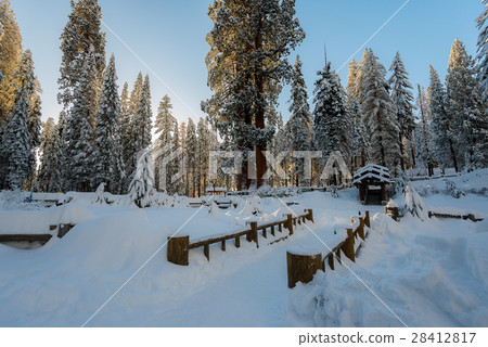 Winter landscape on the mountain in the morning 28412817