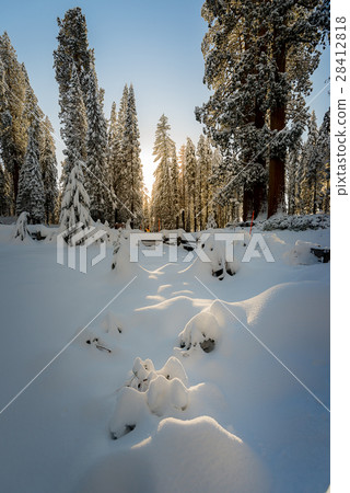 Winter landscape on the mountain in the morning 28412818