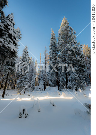 Winter landscape on the mountain in the morning 28412820
