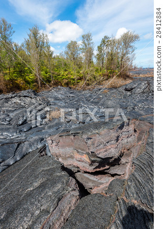 Lava field at Vocalnoes National Park Hawaii 28412884