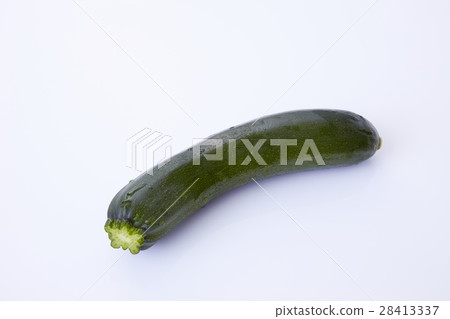 zucchini  28413337