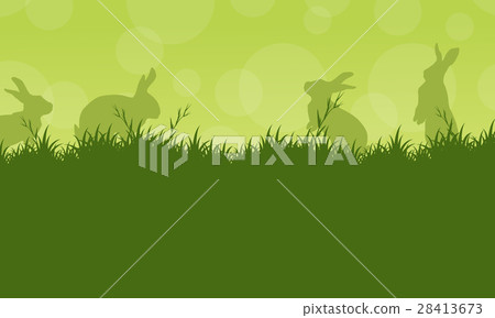 Bunny easter on green backgrounds 28413673
