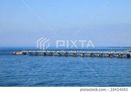 海上釣魚公園Sotto公園 28414083