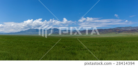 Steppe Kazakhstan, Trans-Ili Alatau, plateau Assy 28414394