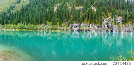 Panorama of dead trees in Lake Kaindy Panorama of dead trees in Lake Kaindy 28414426