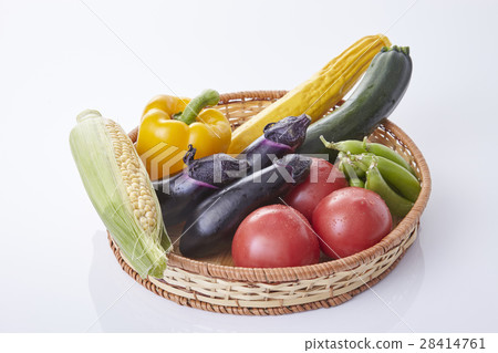 Summer vegetables in the cage Summer vegetables in the cage 28414761