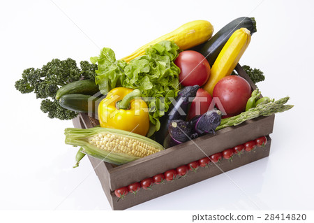 Summer vegetables in a crate 28414820