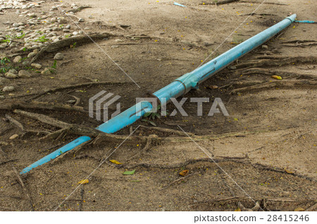 pipe and root 28415246