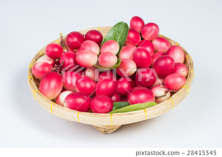 the bengal-currants in basket 28415545