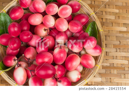 the bengal-currants in basket the bengal-currants in basket 28415554