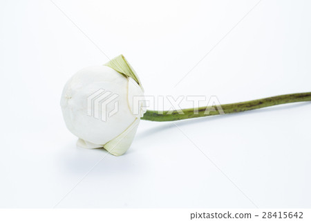 flowers and faith flowers and faith 28415642