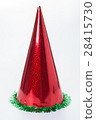 the christmas hat 28415730