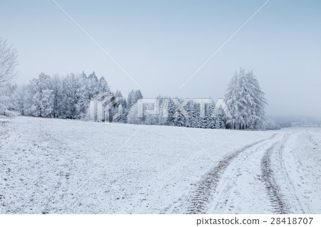 Winter landscape with frozen trees in field 28418707