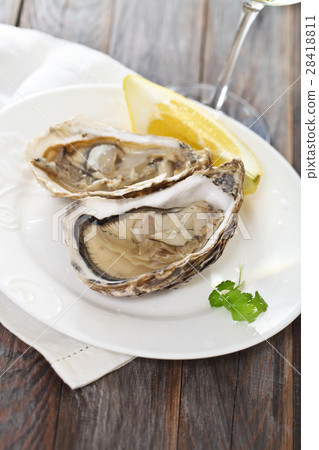 Fresh oysters Fresh oysters 28418811