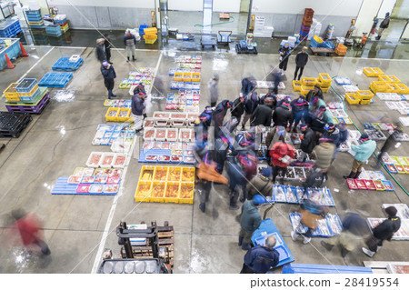 Fish market bidding 28419554