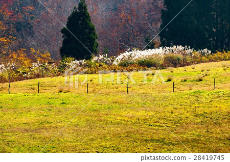The Great Temples Plateau of Autumn 28419745
