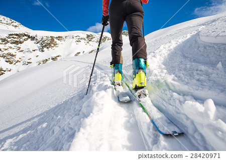 Walking with sealskins with climbing skins Walking with sealskins with climbing skins 28420971