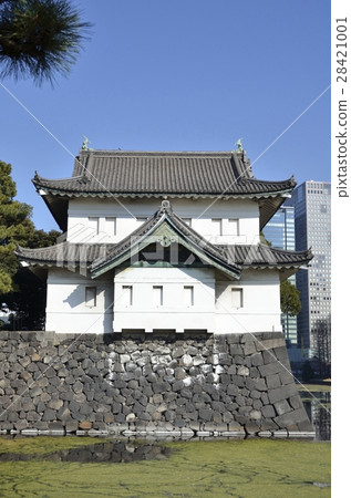 The Tsubaki of the East Gardens of the Imperial Palace 28421001