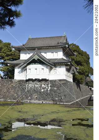 The Tsubaki of the East Gardens of the Imperial Palace 28421002