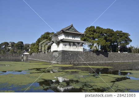 The Tsubaki of the East Gardens of the Imperial Palace 28421003