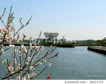 Port of Yokohama port landscape 28421433