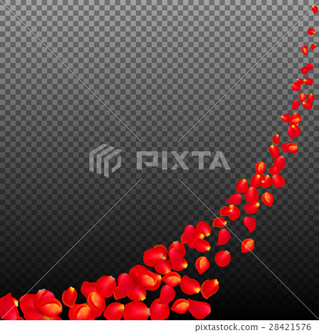 Gone with the Wind rose petals. Realistic vector Gone with the Wind rose petals. Realistic vector 28421576
