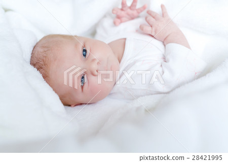 Portrait of cute adorable newborn baby child Portrait of cute adorable newborn baby child 28421995