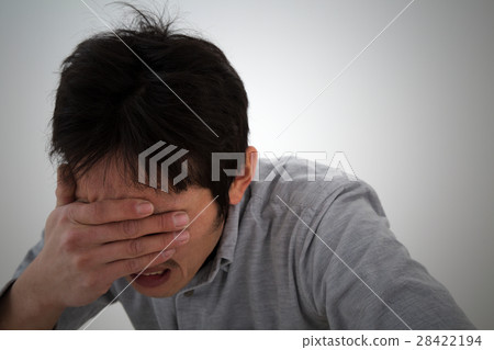 Male saddening black back 28422194