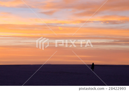 Uyuni traveler 28422993