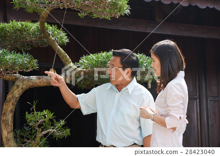 Asian family standing at bonsai tree Asian family standing at bonsai tree 28423040