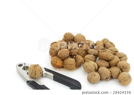 Foodstuff walnut Origin: Iwate prefecture Kudo group 28424339