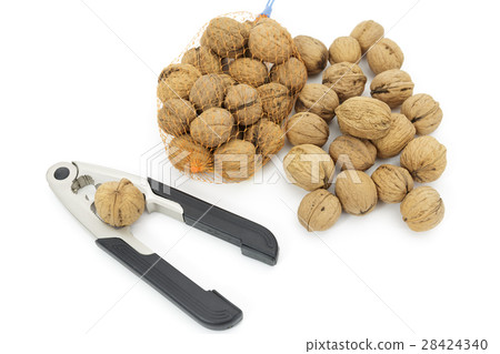 Foodstuff walnut Origin: Iwate prefecture Kudo group 28424340