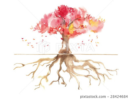 Autumn park, roots, deciduous leaves 28424684