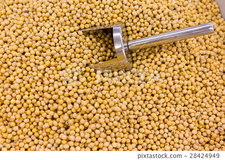 close up of dried shiitake mushrooms food close up of dried shiitake mushrooms food 28424949