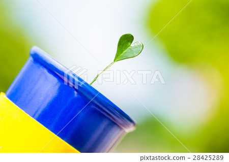 green leaf in heart shape green leaf in heart shape 28425289