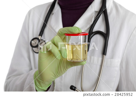 Doctor hold urine sample 28425952