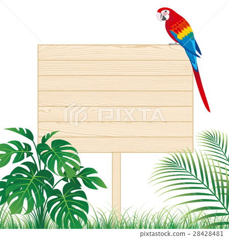 Standing signs Macaws Standing signs Macaws 28428481