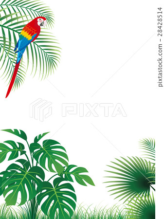 Forest Monstera Macaw 28428514