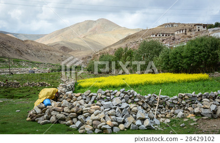 Mountain scenery in Ladakh, India Mountain scenery in Ladakh, India 28429102