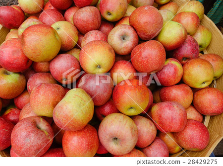 Yummy pile of apples at a market stall Yummy pile of apples at a market stall 28429275