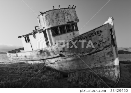 Point Reyes Shipwreck 28429460