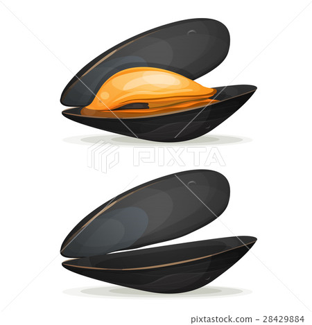 Mussels Mussels 28429884