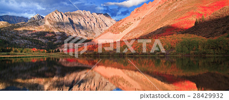 Fall and Autumn Detail 28429932