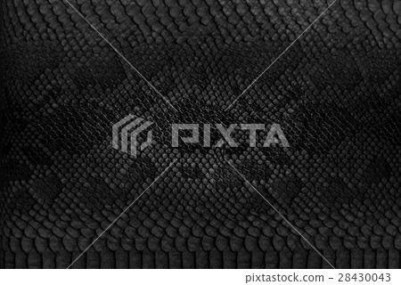 Snake skin background. Close up. 28430043