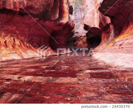 Zion National Park in Utah 28430370
