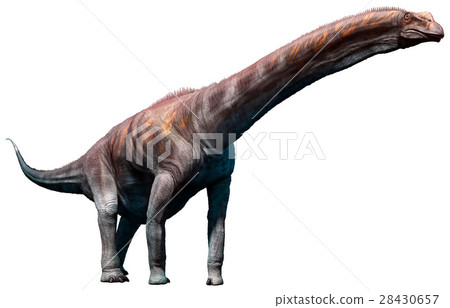 Argentinosaurus, Argentinosaurus, 28430657